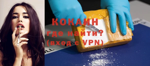 бошки Новодвинск