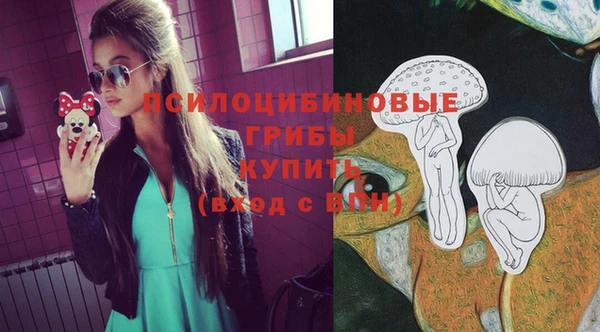 мдпв Абдулино
