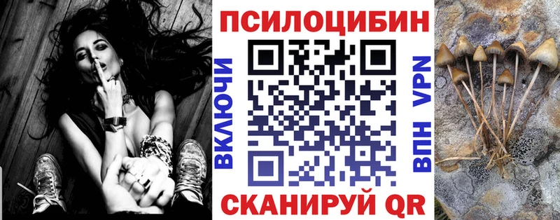 цена   Иноземцево  Галлюциногенные грибы Cubensis 